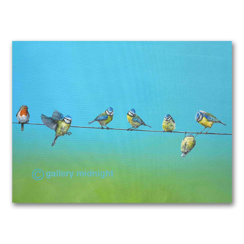 Six blue tits on a wire, one upside down, watched by a single robin, against a sky fading to hazy green, by Johny Midnight.