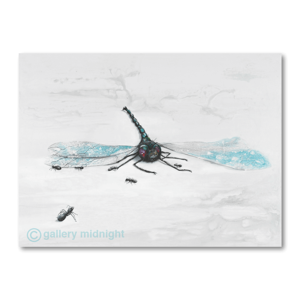 Dragonfly image 0