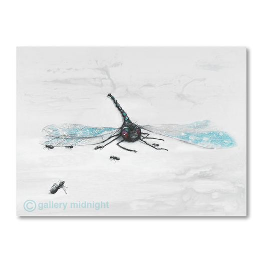 Dragonfly image 0