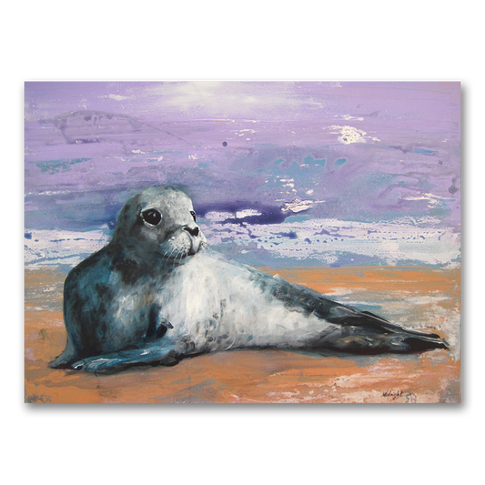 Grey seal pup with large dark eyes and silky coat lying on the sand at Blakeney Point, Norfolk, by Johny Midnight.
