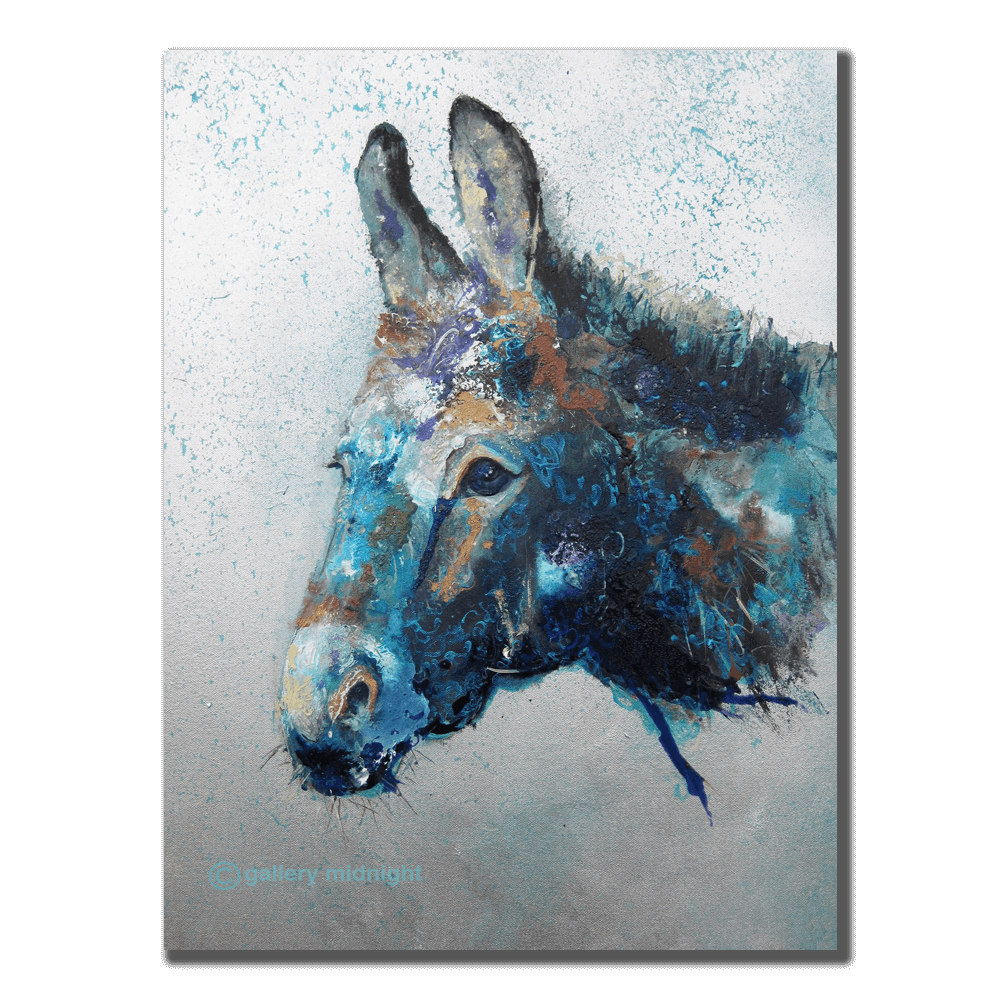 Ile de Re Donkey image 0