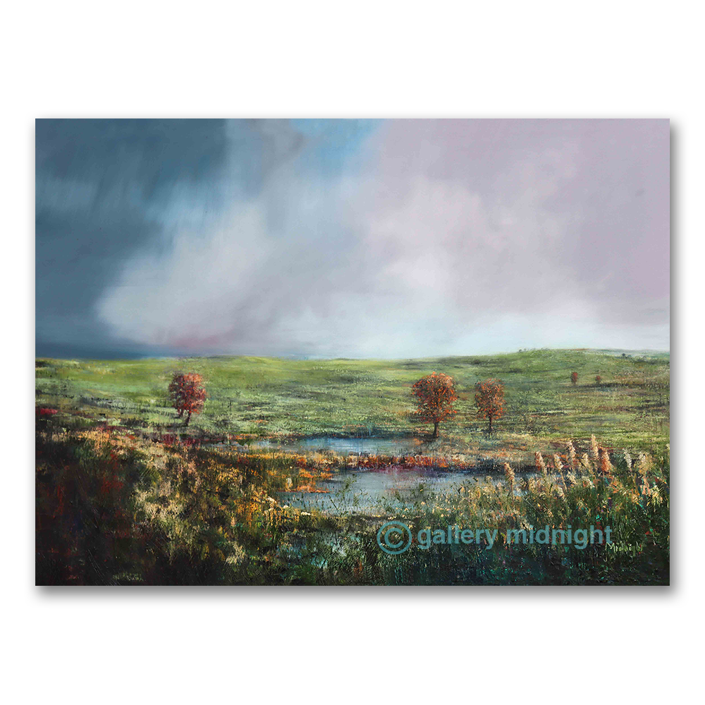 Storm clouds sweeping over green grassland with rust-red trees and rainwater pools reflecting a pink summer sky